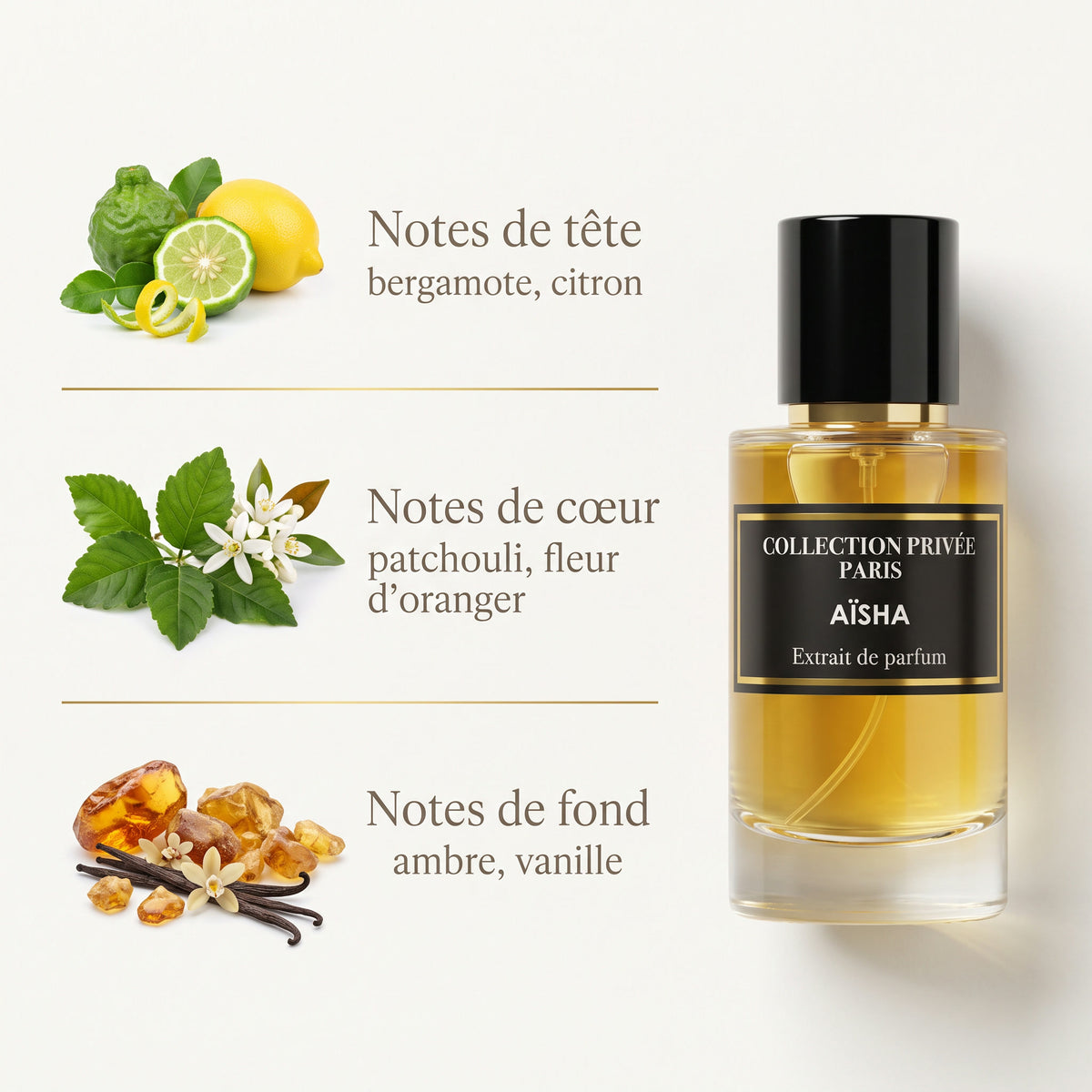Aïsha – notes de tête, de cœur et de fond
