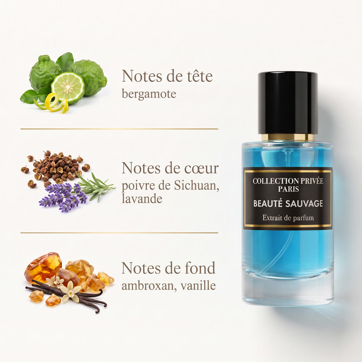 Beauté Sauvage – notes de tête, de cœur et de fond