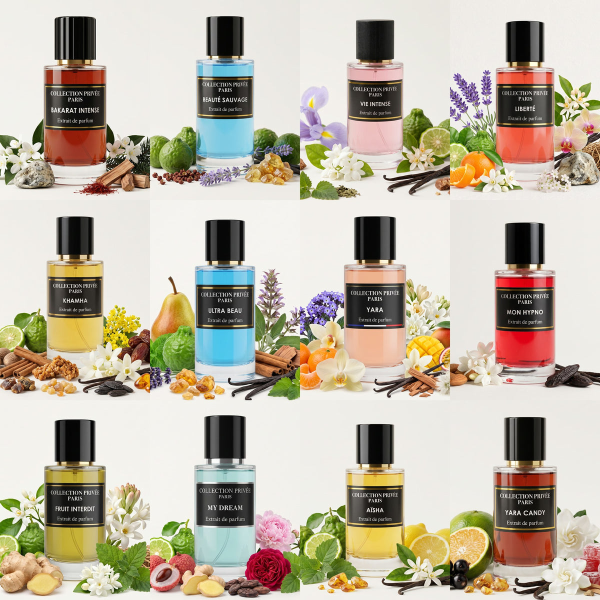Box 12 parfums – douze extraits de parfum 50 ml au choix