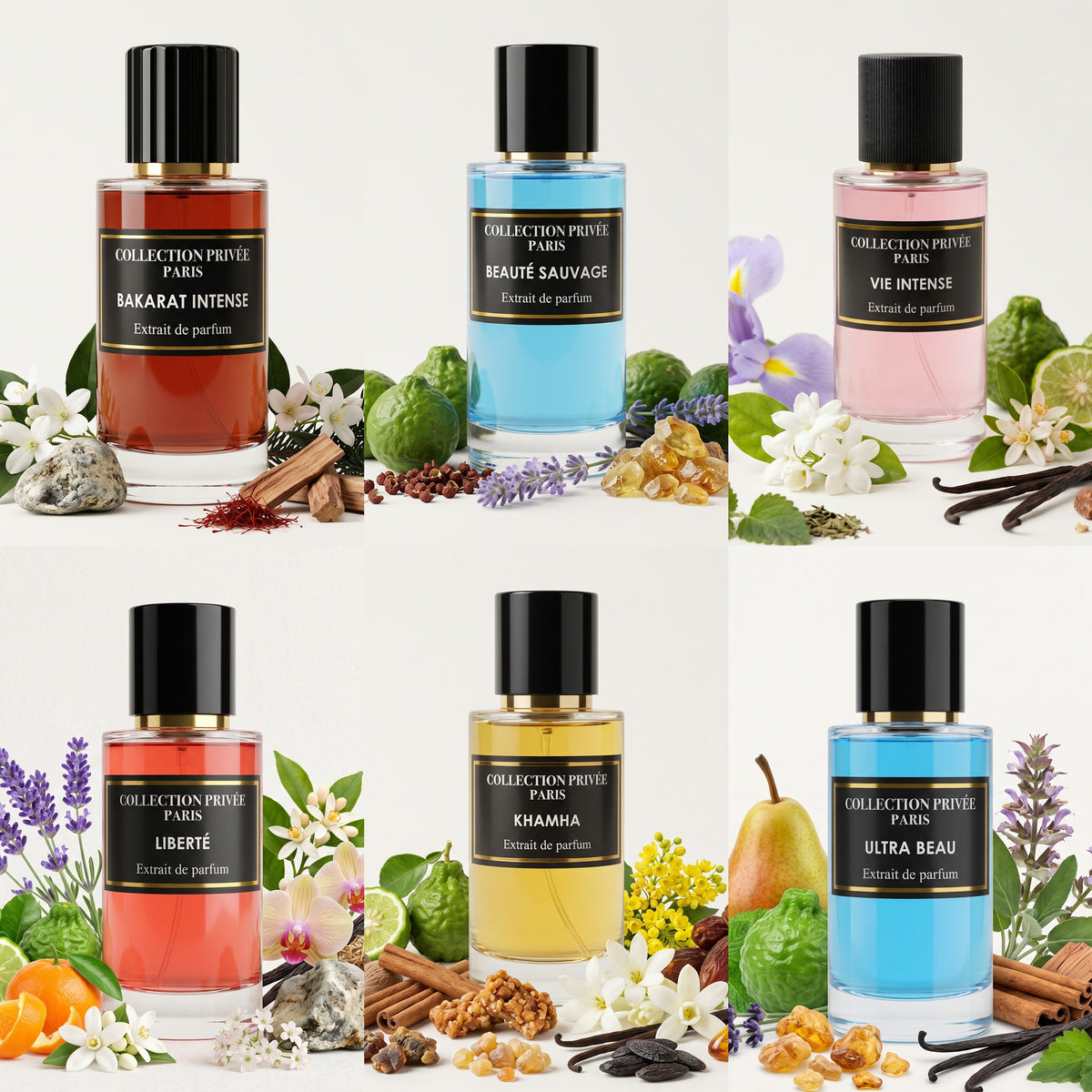 Box 6 parfums – six extraits de parfum 50 ml au choix