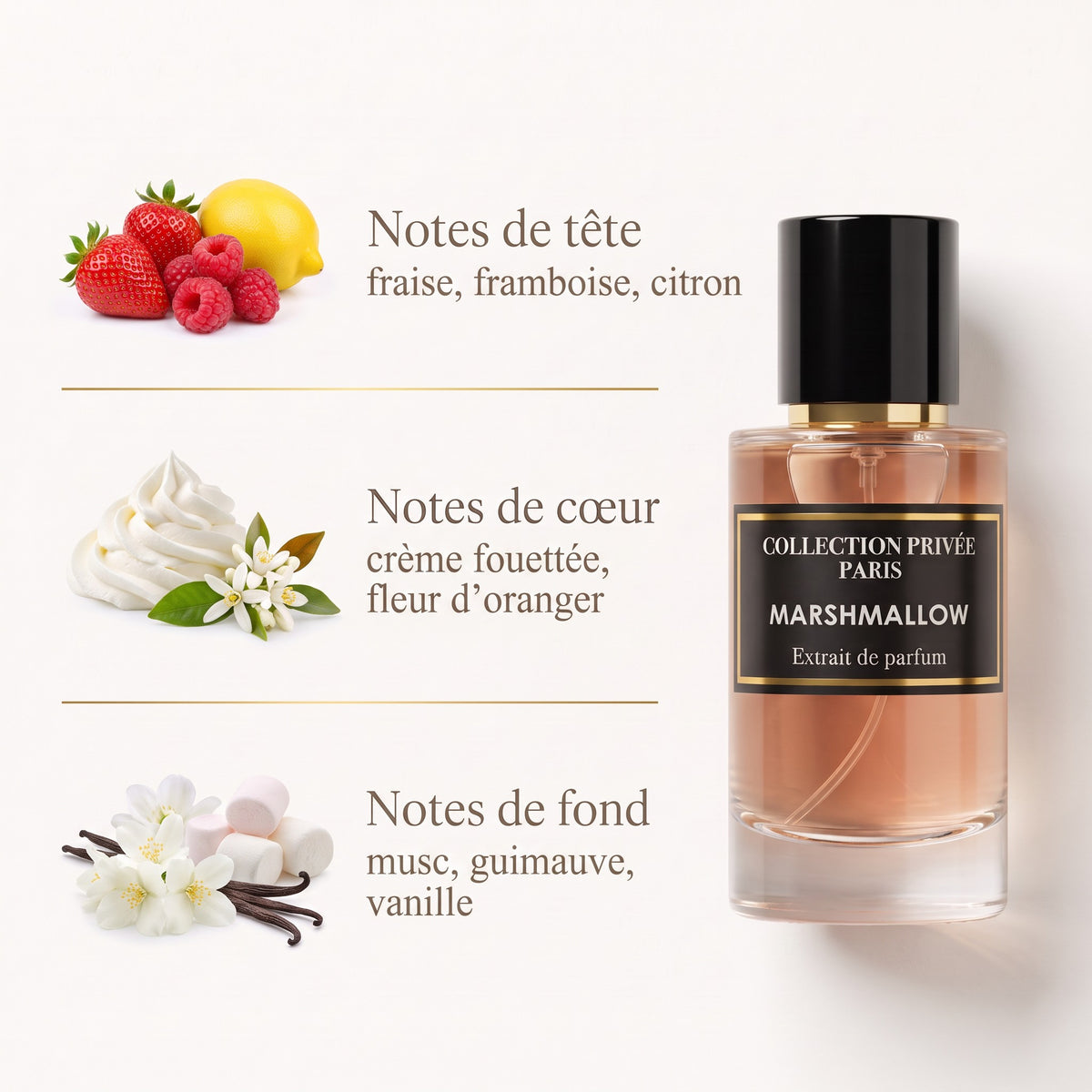 Marshmallow – notes de tête, de cœur et de fond