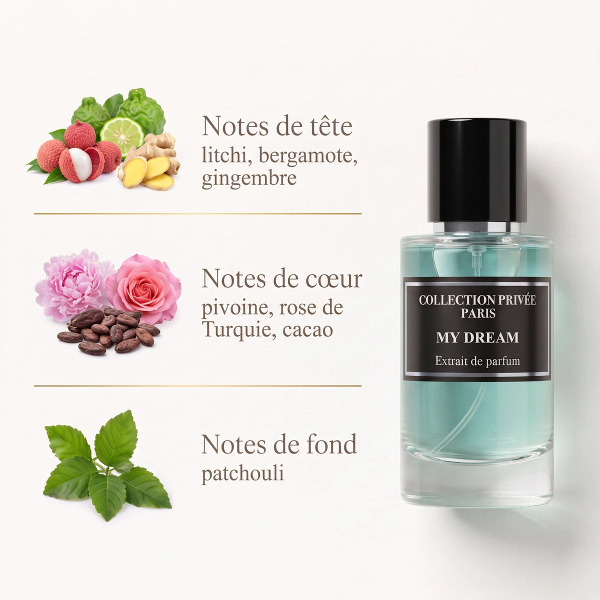 My Dream – notes de tête, de cœur et de fond