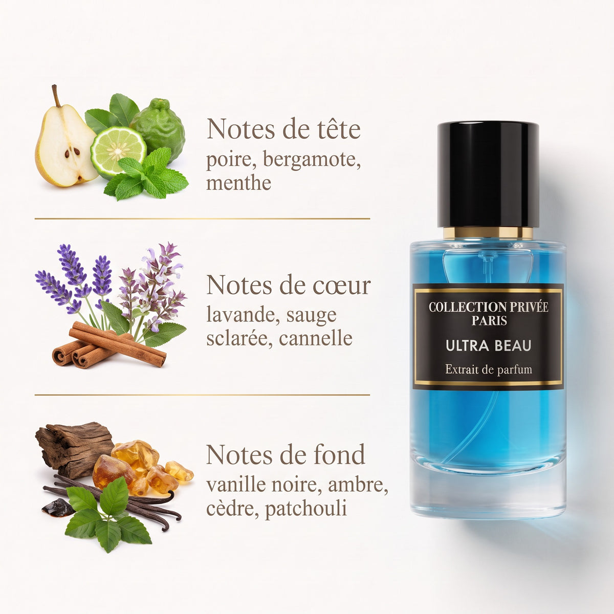 Ultra Beau – notes de tête, de cœur et de fond