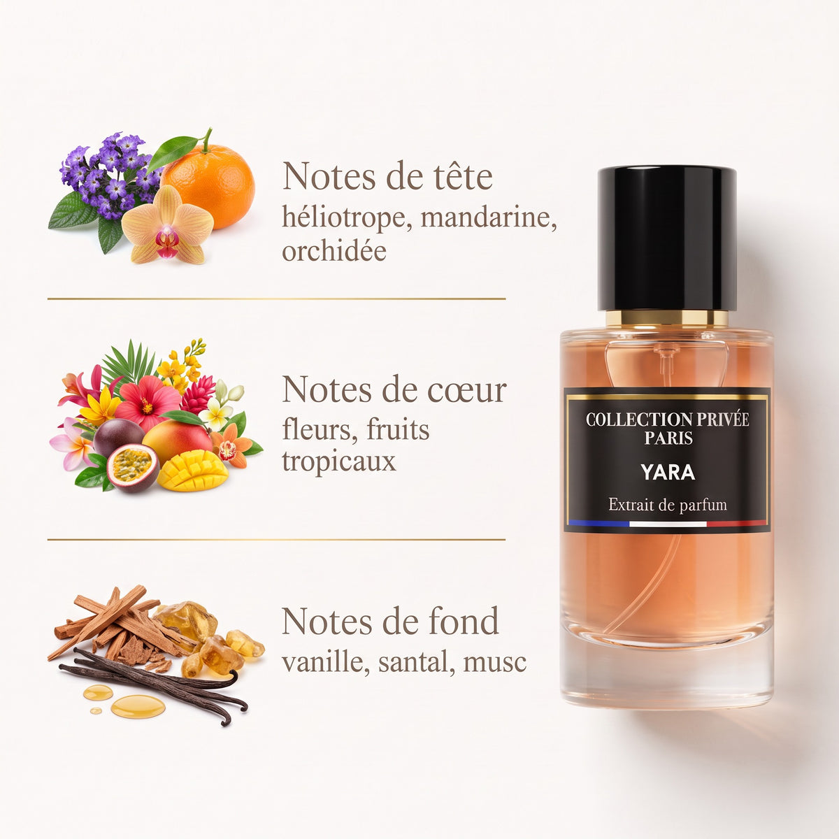 Yara – notes de tête, de cœur et de fond